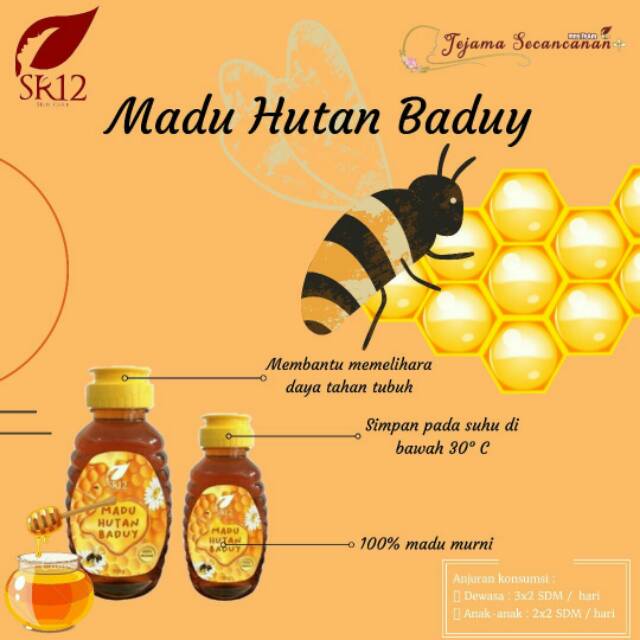 

Madu Hutan Baduy SR12