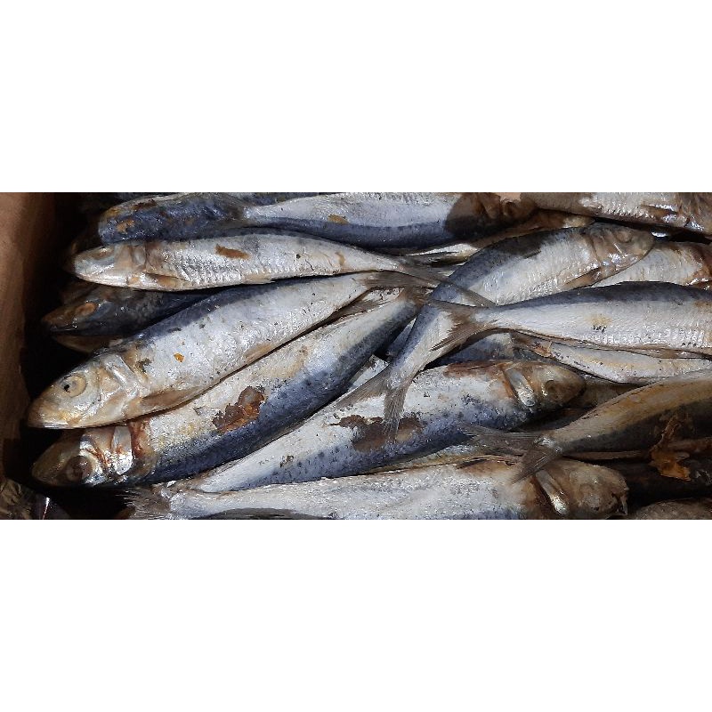 

ikan asin japuh