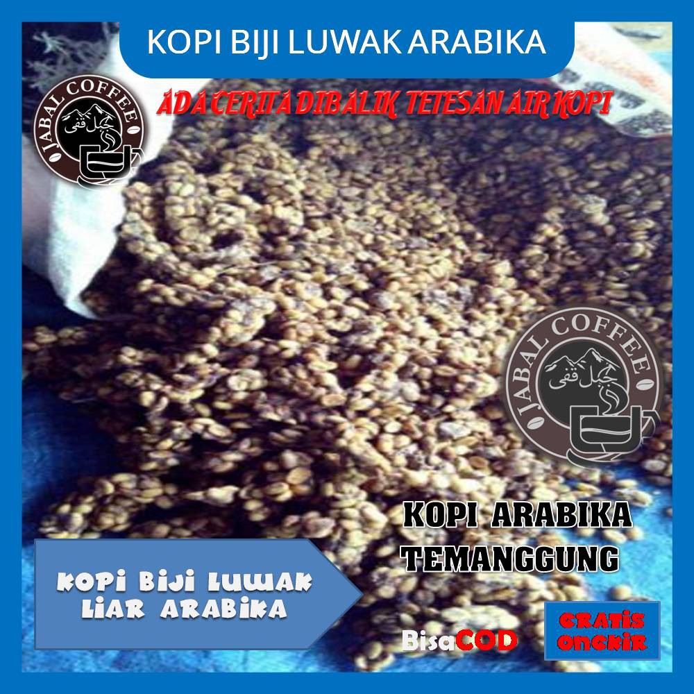 

Kopi Biji Luwak Liar Arabika Gunung Sumbing Temanggung