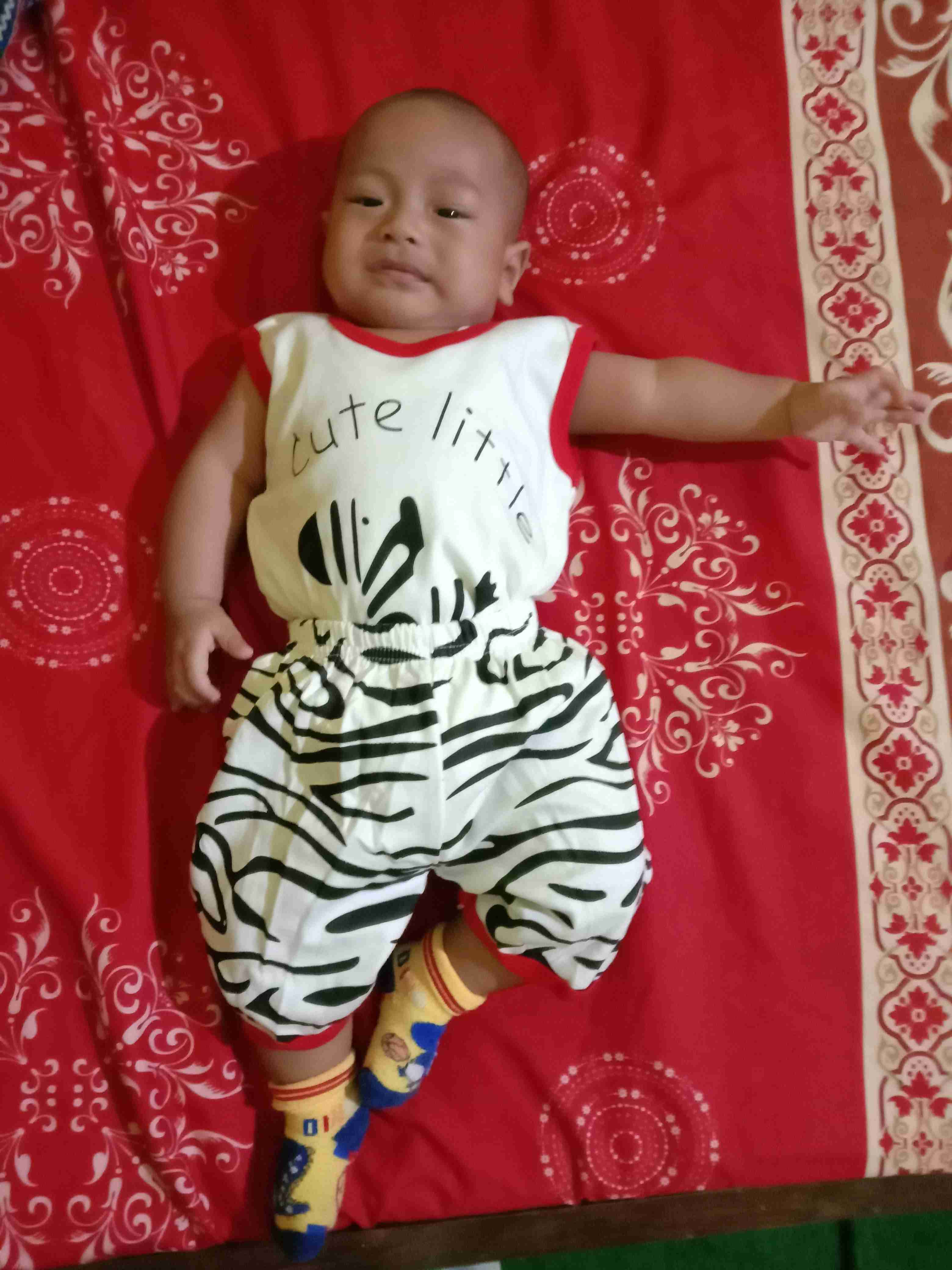 WakaKids Baju  Bayi Anak Laki Laki Singlet Zebra  Setelan 