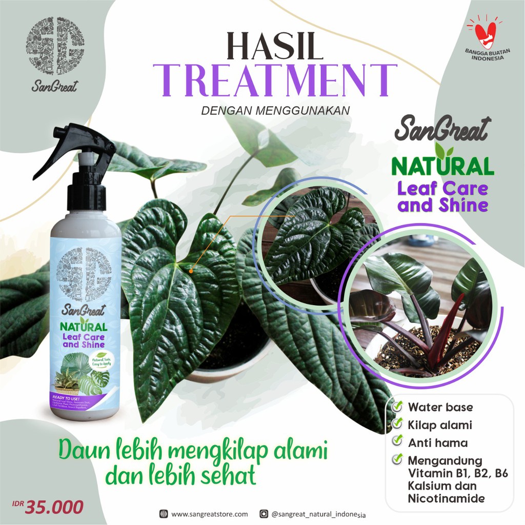 Semir kilap daun tanaman hias Water Base plus vitamin dari SanGreat 250 ml tahan lama