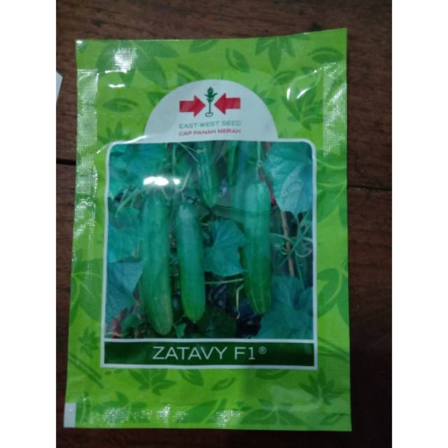 Benih timun zatavy antivirus