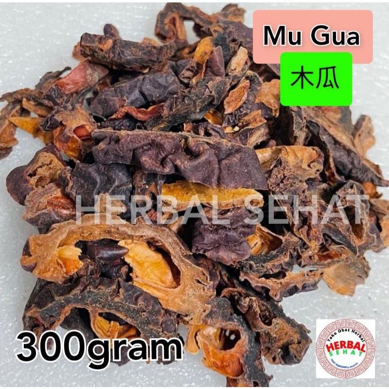 

300 gram Mu Gua 川木瓜片 - Mugua - Fructus Chaenomelis Lagenariae - Muk Ka