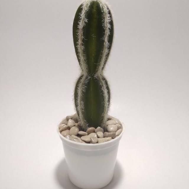 Kaktus imitasi/kaktus latex/kaktus palsu/dekorasi/tanaman artifisial/tanaman unik/pajangan