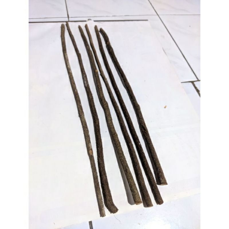 Tangkringan burung pleci konin kayu asem bali kasar