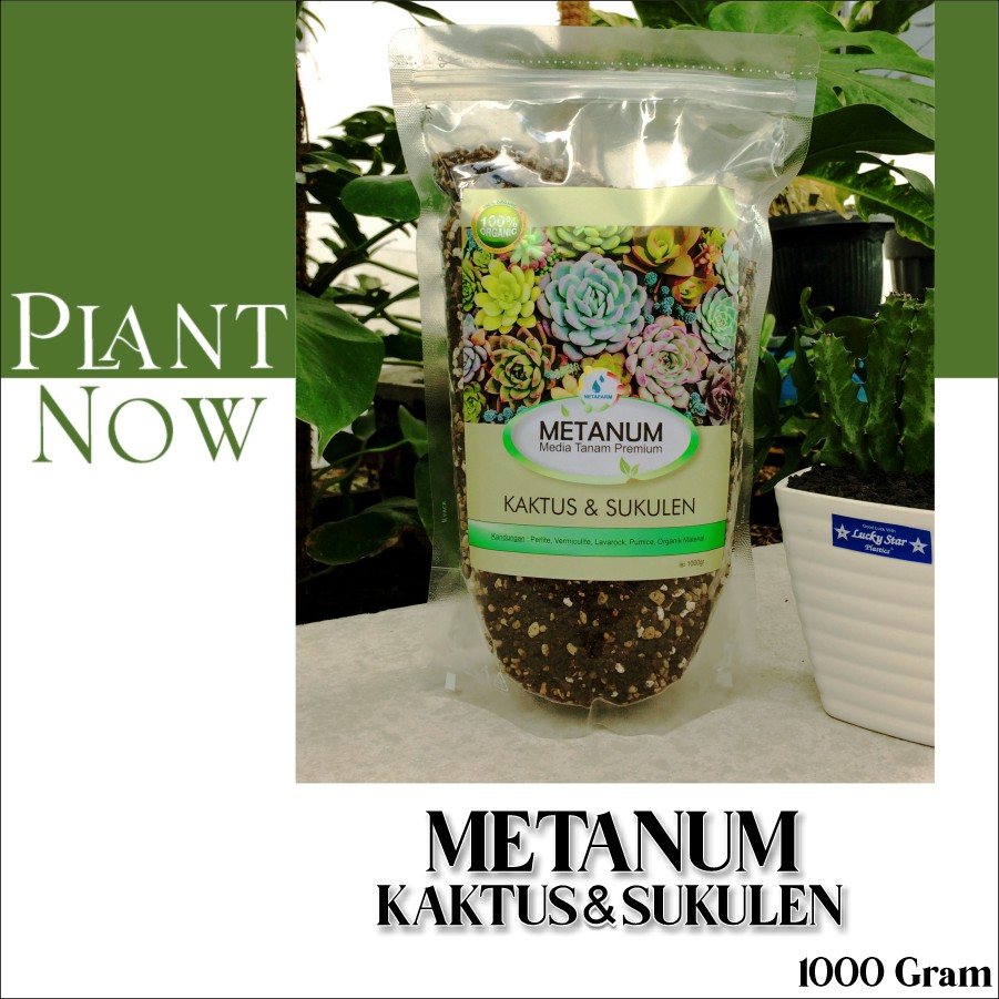 METANUM Media Tanam Premium Kaktus / Sukulen - 1kg