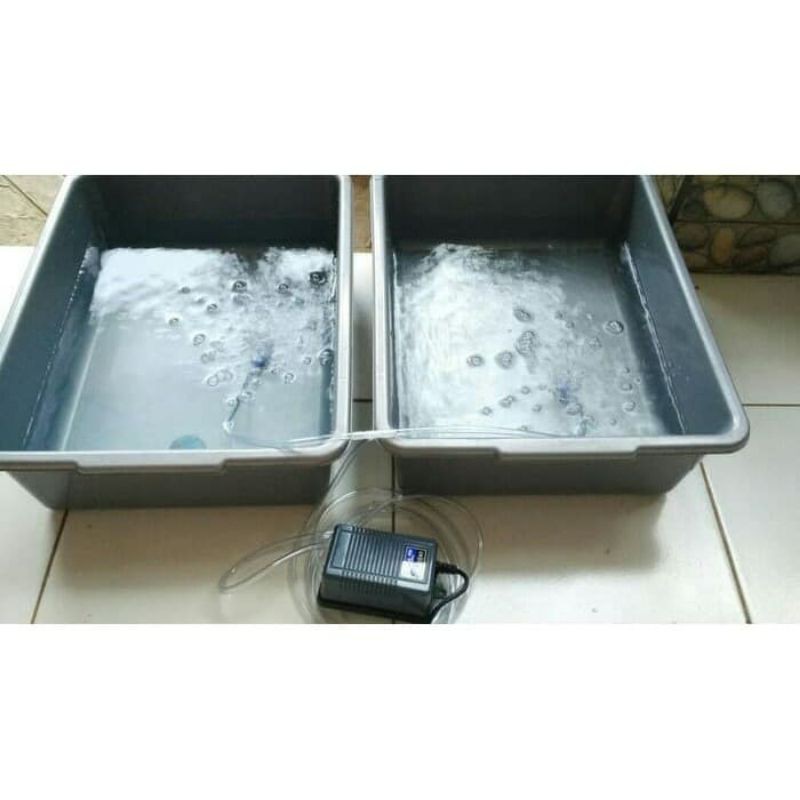 POMPA UDARA AERATOR PAKET LENGKAP AERATOR AMARA CABANG 2 OUTPUT