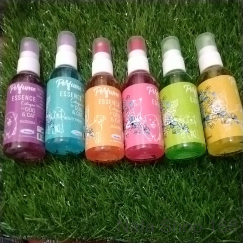 Parfum Kucing Anjing 60ML Cologne Esence Raid All 60 ML Perfum Perfume Wangi Cat Dog