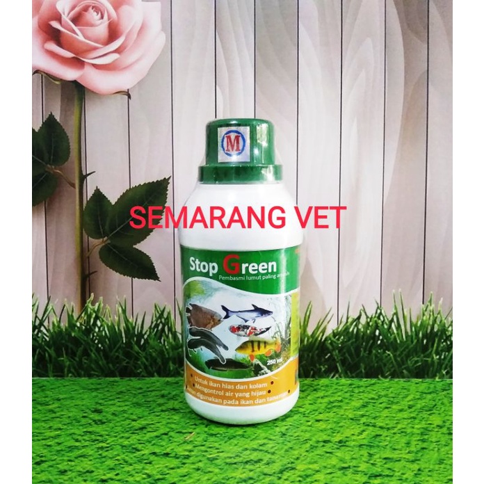 Anti Lumut Kolam Ikan Pembersih Lumut Kolam Ikan Penghilang Lumut Kolam Ikan Pembunuh Lumut STOP GRE