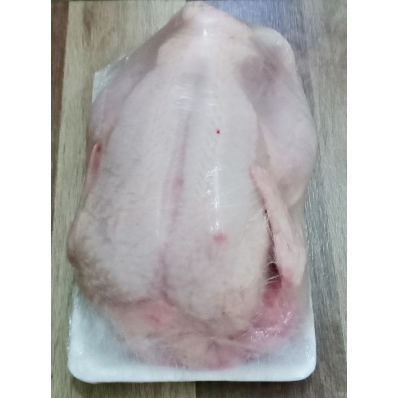 

ayam cekeran jumbo