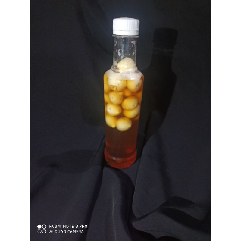 

fermentasi madu murni + bawang lanang