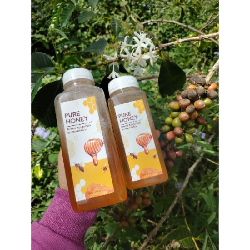 

Madu murni nektar bunga kopi