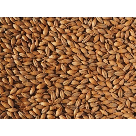 Imatton premium AUS CRYSTAL 145-155 barley malt homebrew craftbeer