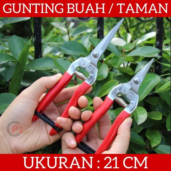 Gunting Taman Buah Bunga Daun Bonsai Fruit Picking Shears Ukuran 21cm