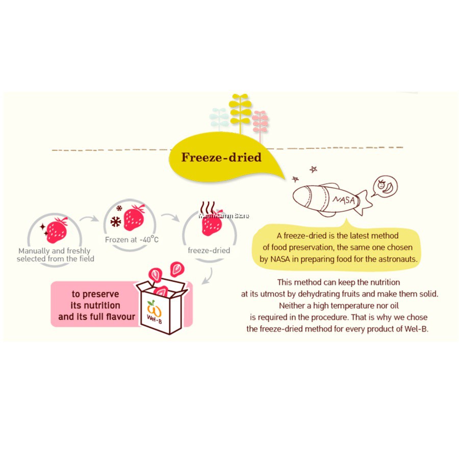Wel-B Freeze-Dried Strawberry 25gr Baby Snack Snek Buah Bayi