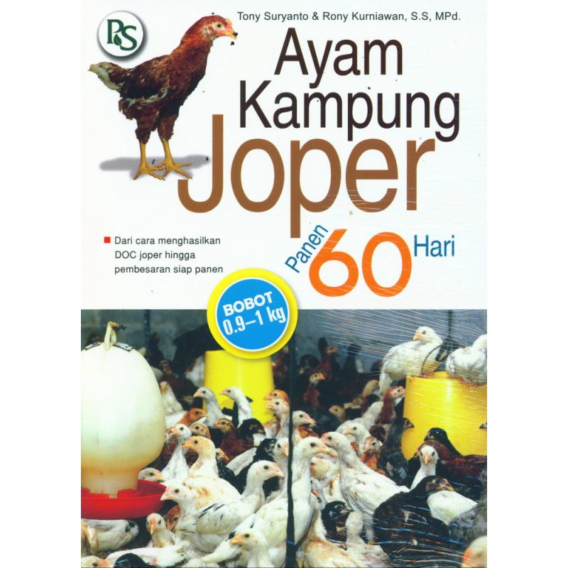 AYAM KAMPUNG JOPER PANEN 60 HARI