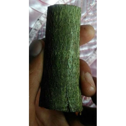 

KULIT POHON ANGSANA OBAT HERBAL SARIAWAN 300GRAM