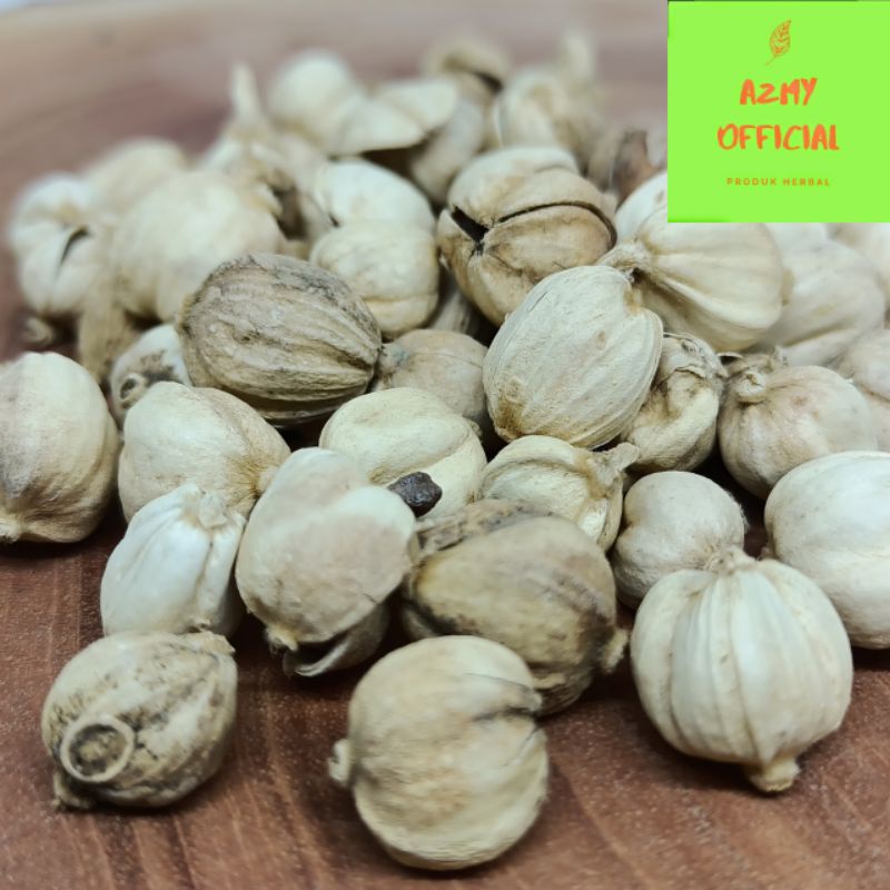 

KAPULAGA BUBUK DAN BUTIR 100gr / KAPOL
