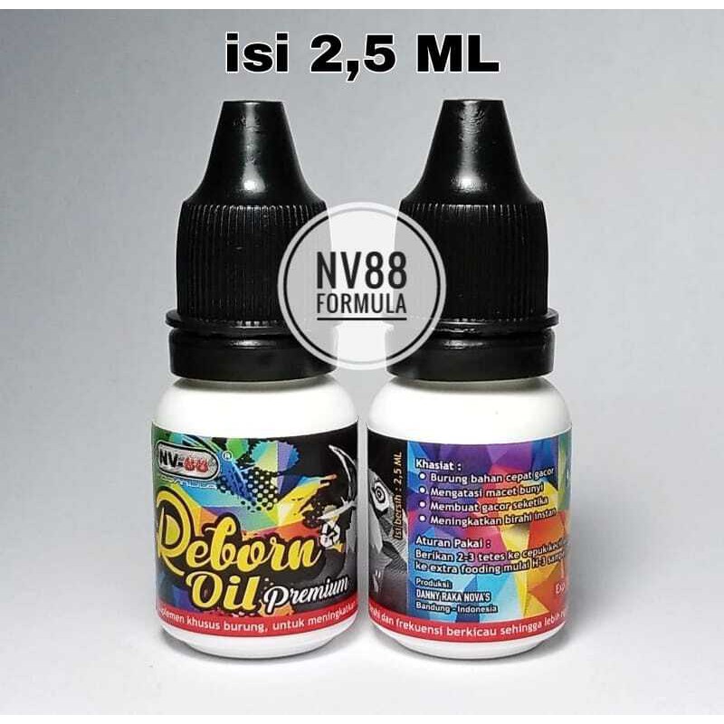 Reborn Oil Premium nv88 doping dan suplemen burung Pleci terbaik dan sehat