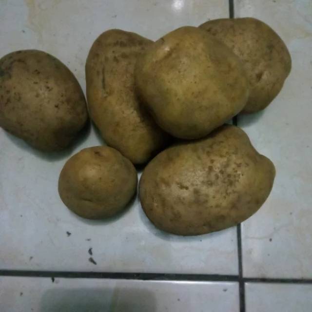 

Kentang