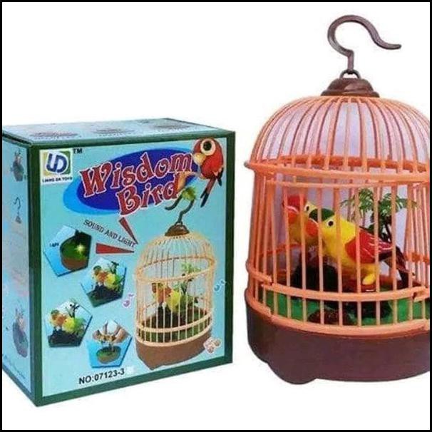 880 Koleksi Gambar Burung Dalam Sangkar Gratis