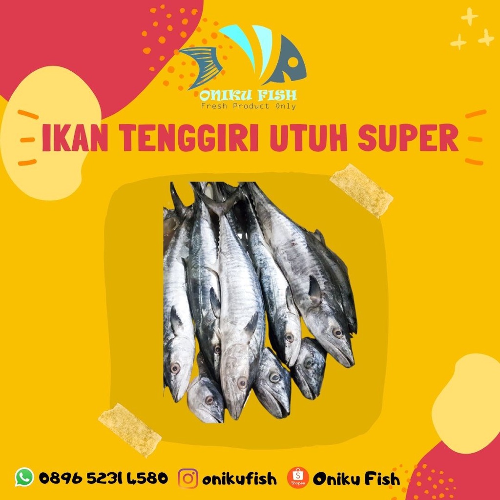 

Ikan Tenggiri Utuh Kualitas Ekspor