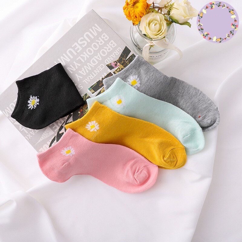 Kaos Kaki Perempuan Warna Polos Pendek/Mata Kaki.