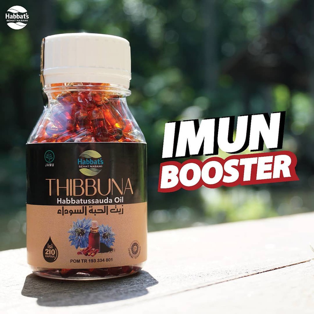 THIBBUNA Habbatussauda Promil Original Asli