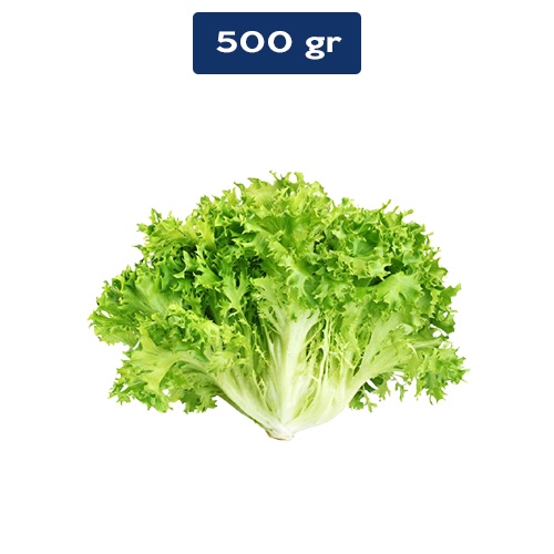 

Lettuce Endive 500 gr