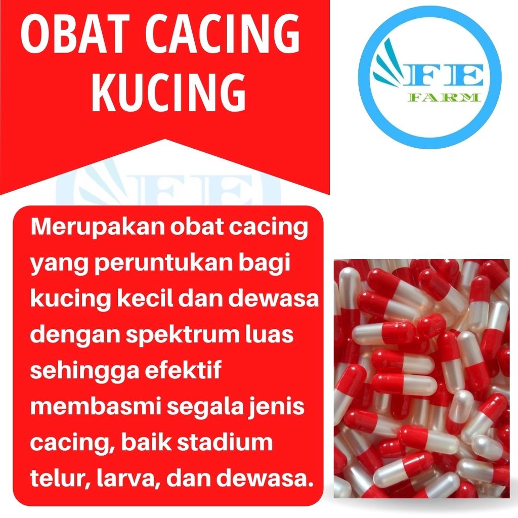 1 KAPSUL OBAT CACING KUCING SUPER AMPUH FEFARM