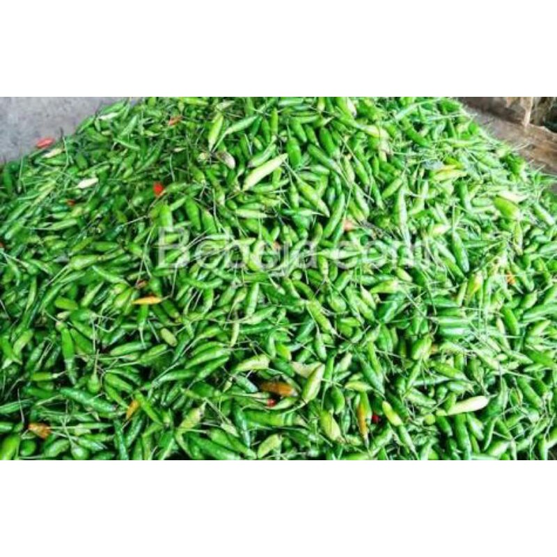 

cabai rawit segar 500 gr