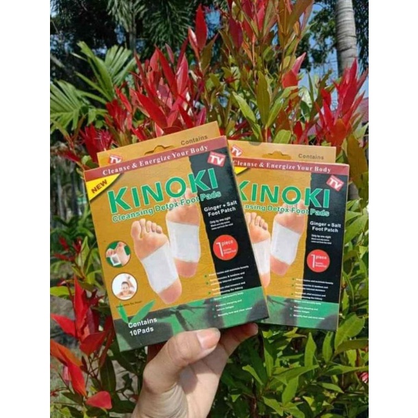 KINOKI Koyo Kaki Mendetox Racun