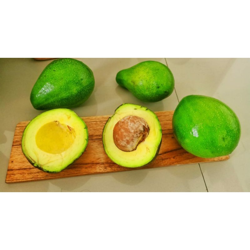 

Alpukat Syauqi - Avocado's