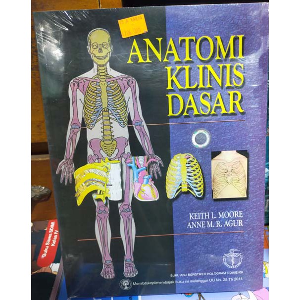Anatomi Klinis Dasar