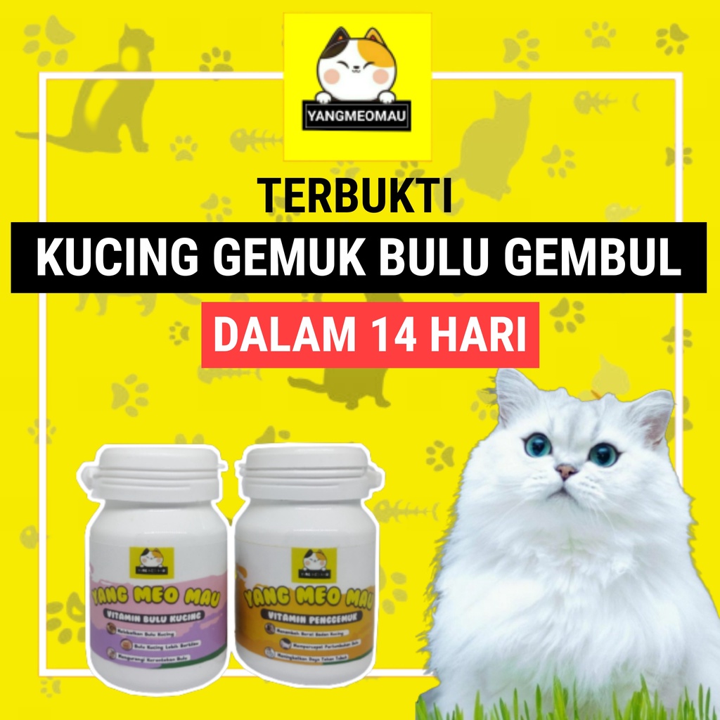 vitamin kucing lengkap gemuk dan bulu gembul untuk nafsu makan pelebat bulu panjangin bulu bulu ront