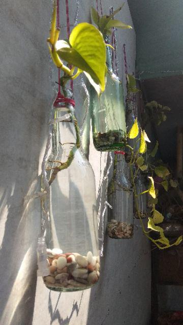 Batu Alam/ Batu Hias Bahan Dekorasi 500 Gr