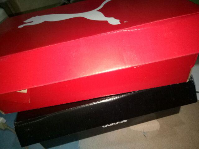 Box Sepatu Harga Per 50pcs