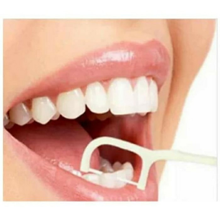 Dental floss toothpick liferesources