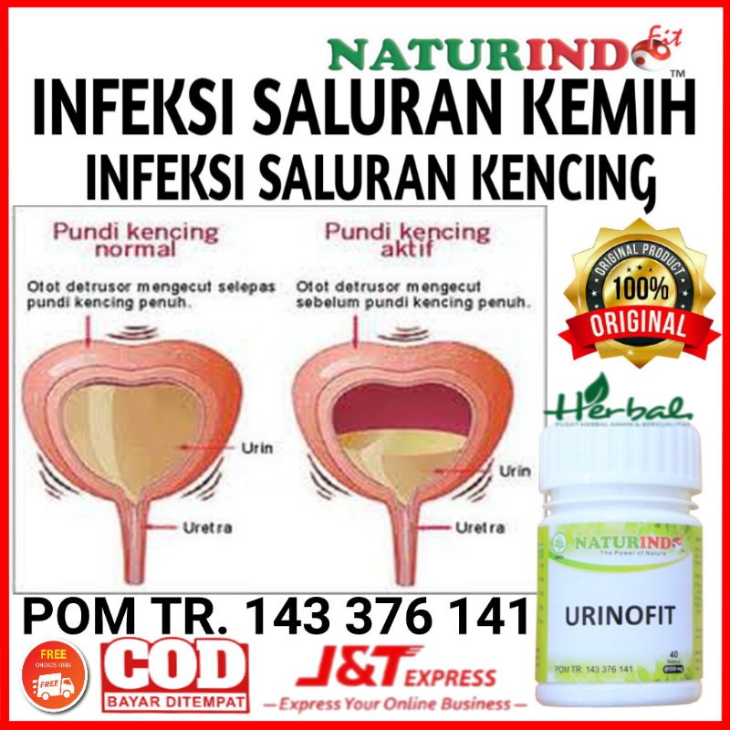 Obat herbal atasi infeksi saluran kemih paling ampuh, obat infeksi saluran kencing paling ampuh, obat herbal atasi infeksi saluran kemih