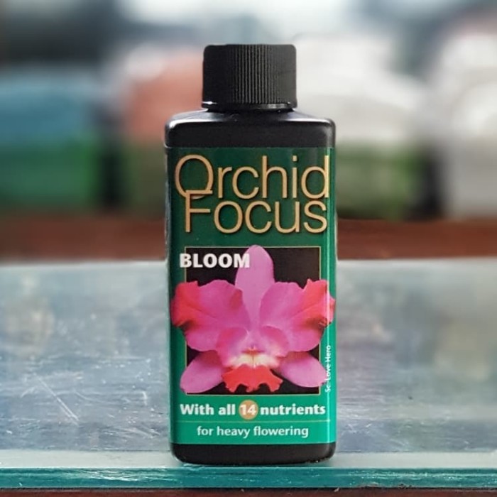 PUPUK ANGGREK ORCHID FOCUS BLOOM 100 ml / pupuk tanaman bunga ORCHID