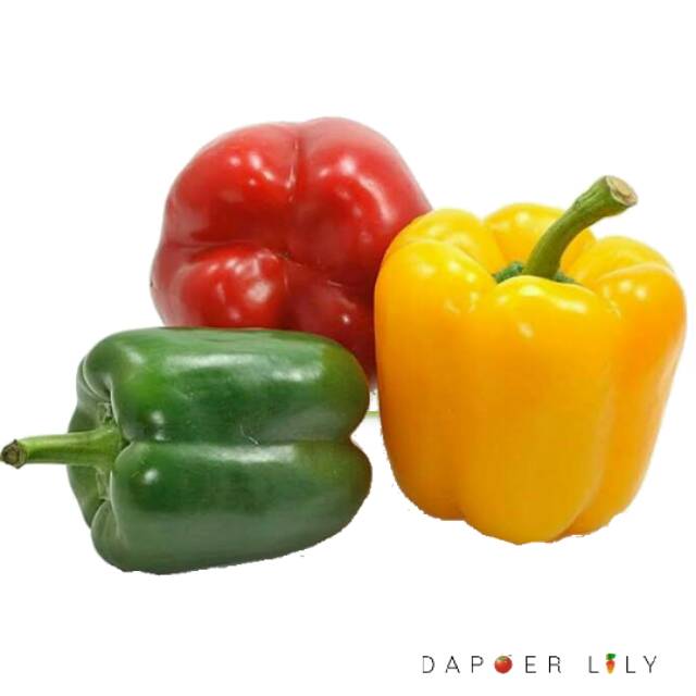

Paprika Hijau merah kuning