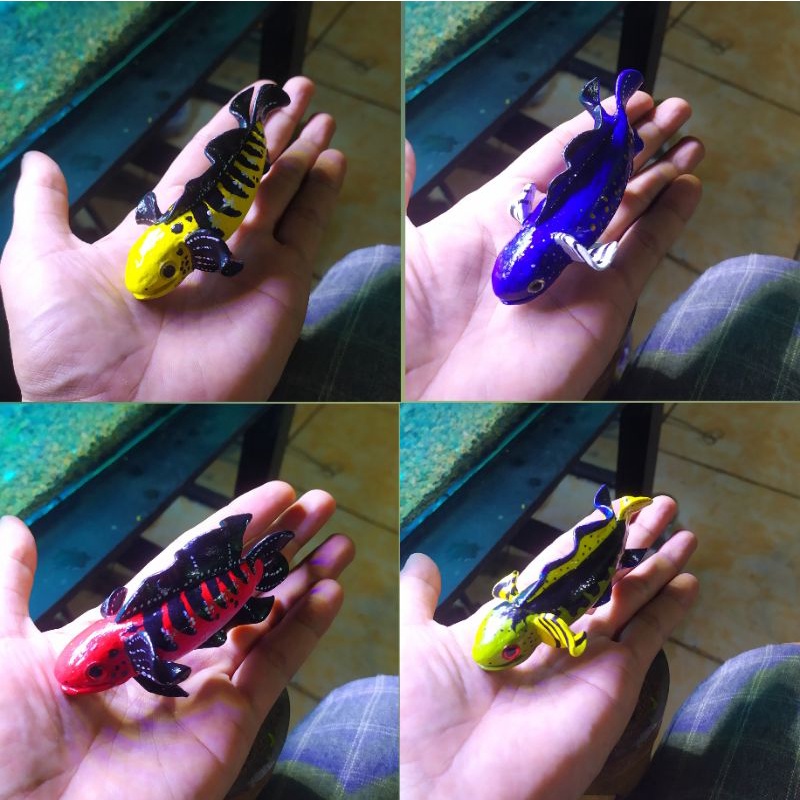 Miniatur ikan channa