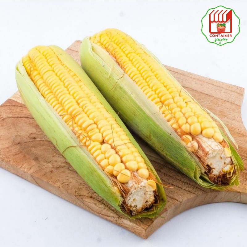 

ContainerSayur Jagung Manis 2 pcs