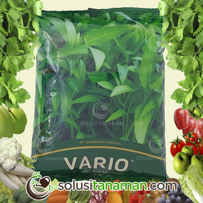 

Terlaris Benih Sayur Sayuran Kangkung Vario @ 1 Kg Benih Hidroponik Organik Limited