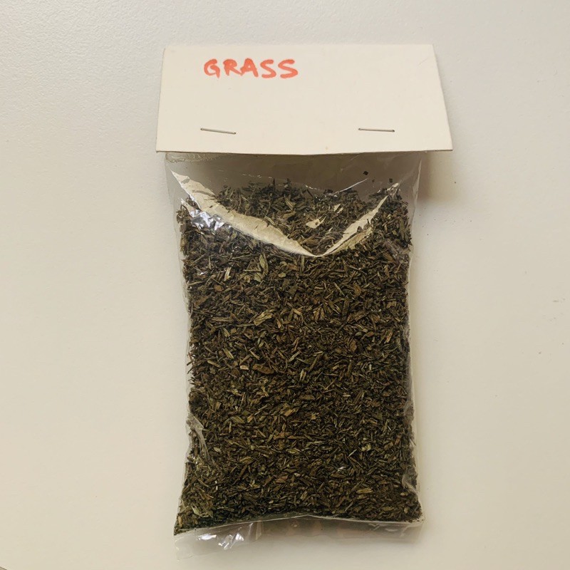 Maket Rumput Grass Hijau Arsitektur