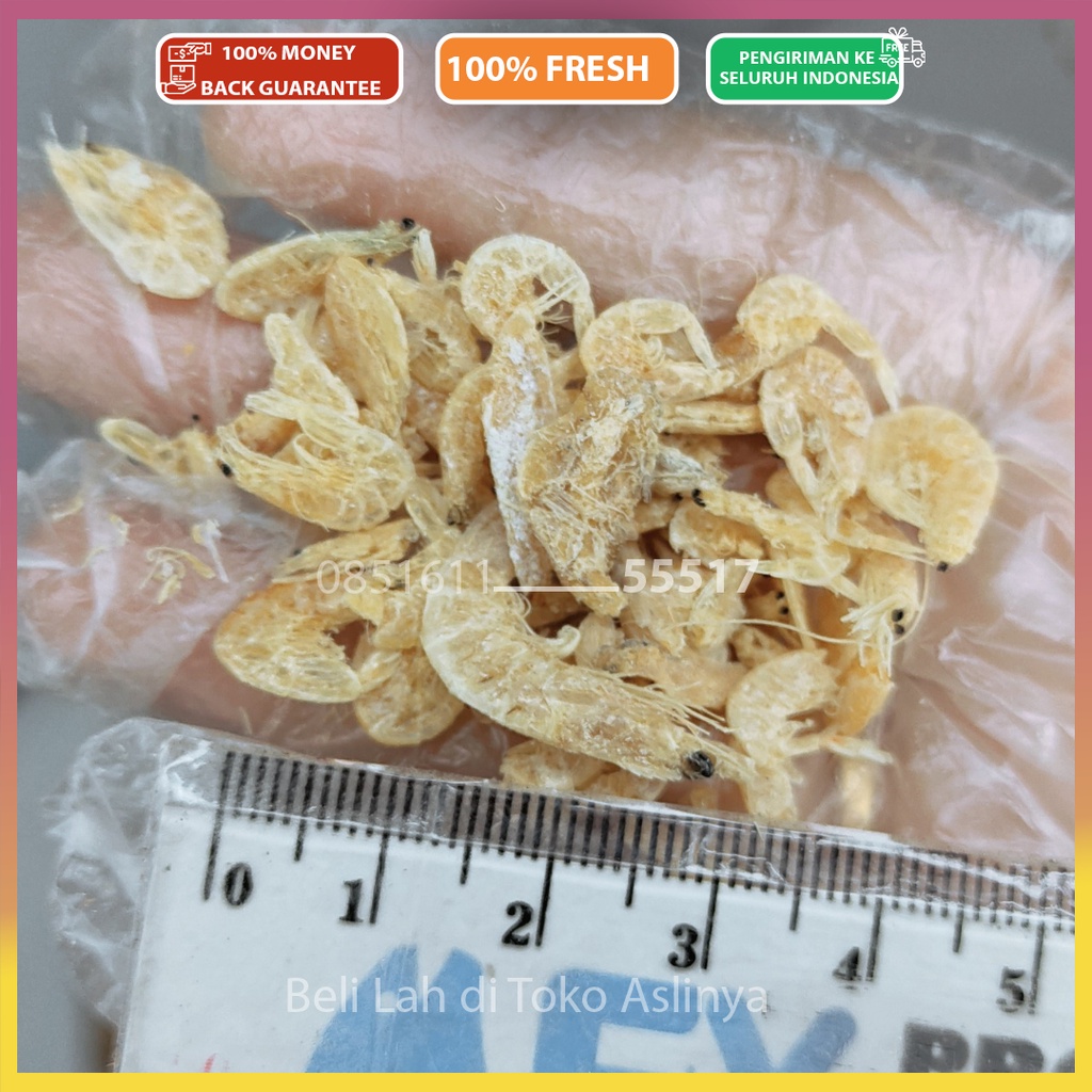 PROMO Udang Rebon Tawar & Rebon Asin 1Kg / Beli 5kg Ada Harga Grosir / Rebon Kasar 100% Fresh