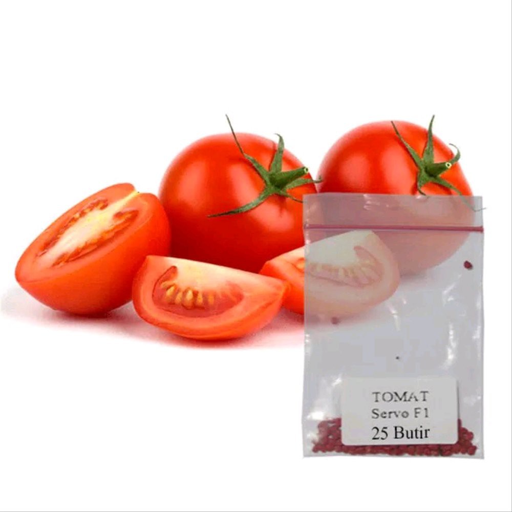 30 Biji Benih Tomat Servo F1 - Repack