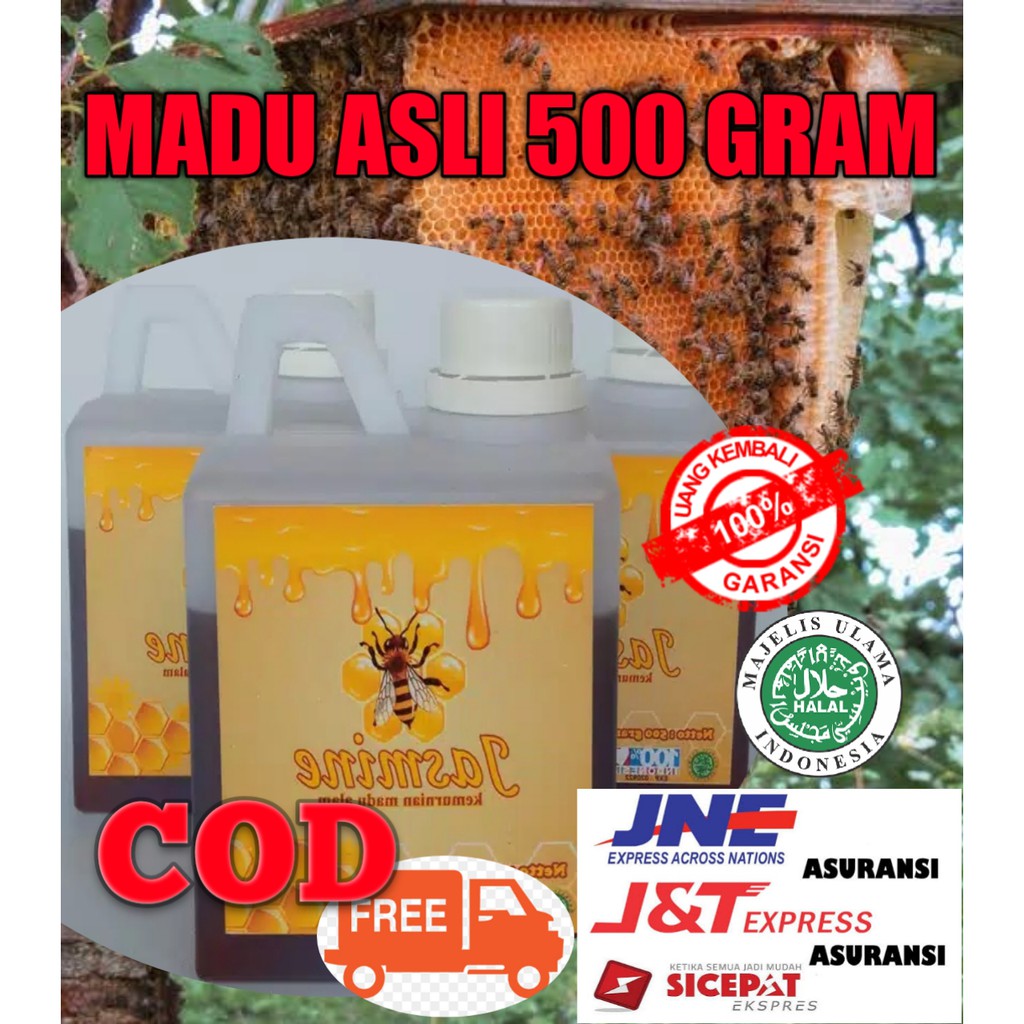

COD BAYAR DI TEMPAT MADU HUTAN ASLI ISI 500 GRAM / LABEL 100% HALAL