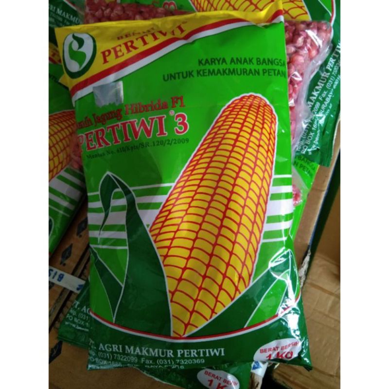 Bibit jagung. Benih Jagung Hibrida F1 Pertiwi 1 kg