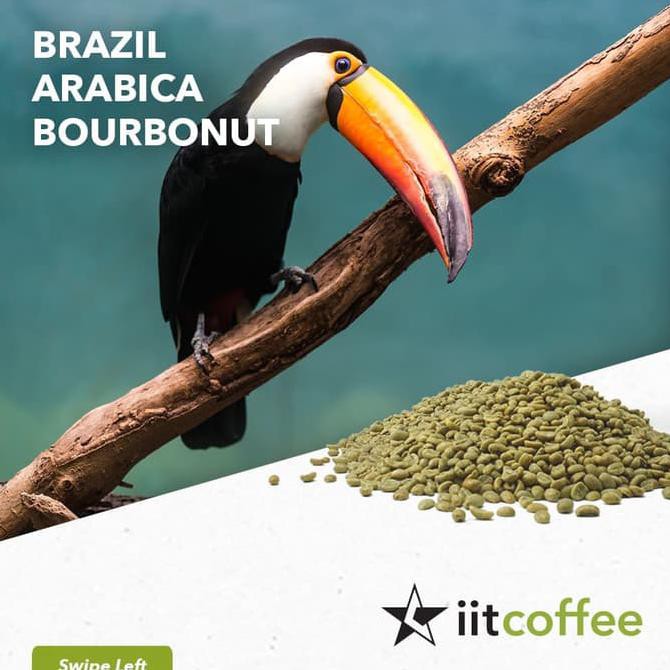 

Big Sale Arabica Green Beans - Brazil Bourbonut Natural 1 Kg Big Sale